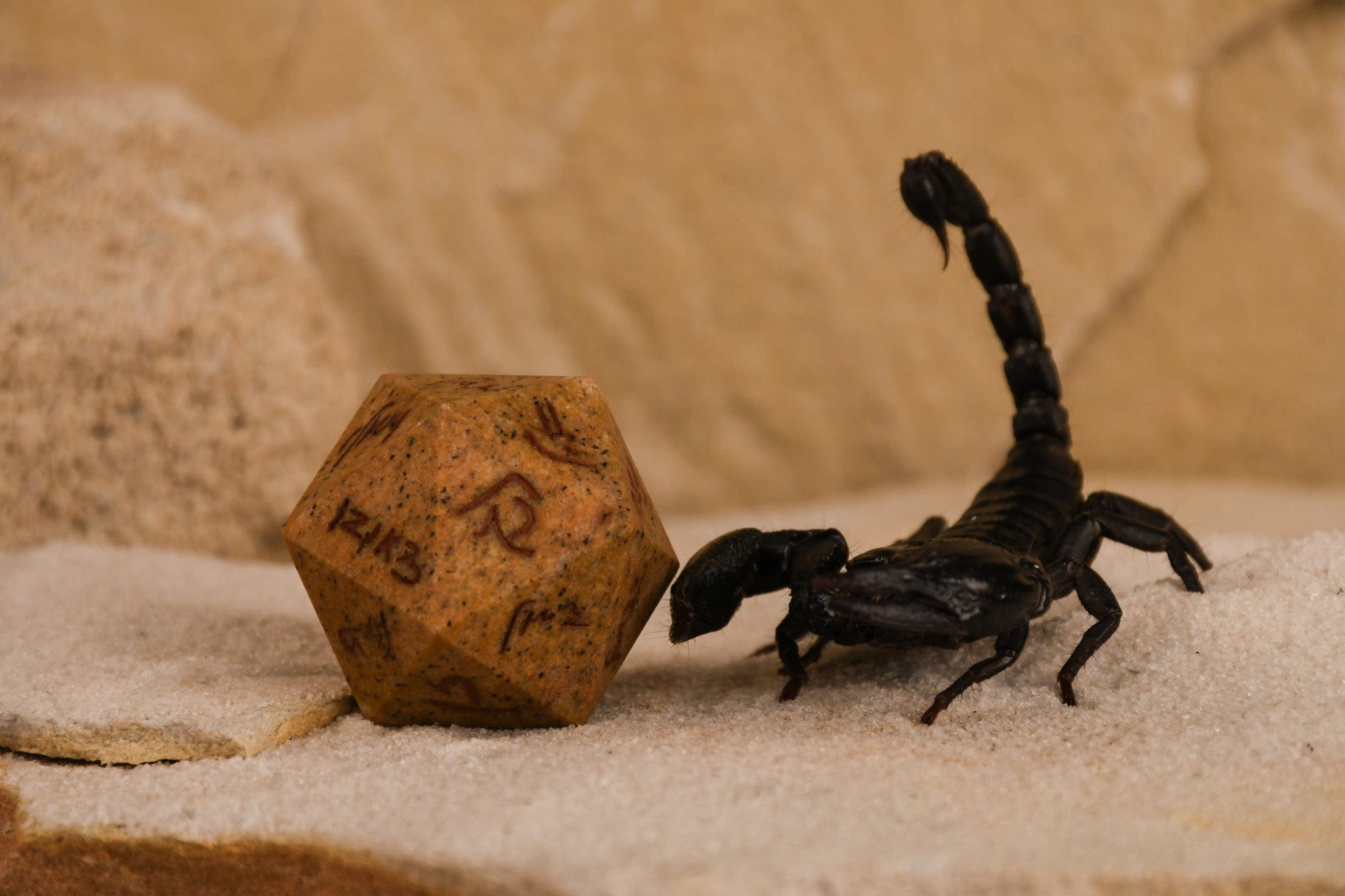 Misty Mountain Gaming Dice Demotic Limestone 30mm d20 - Dice Around the World Collection